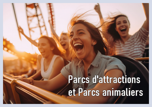 reduction parc attraction